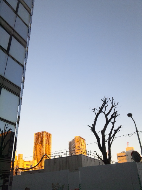 130127_164627.jpg