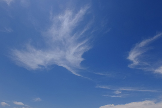 DSCF5103.jpg