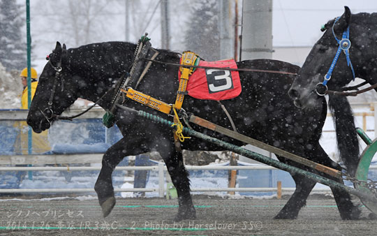 20140126Ob1R3yo_C-1_07