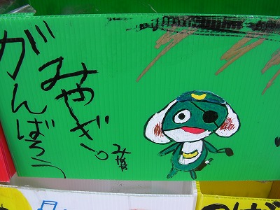 SANY0156.jpg