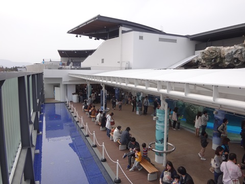 DSC04228.JPG