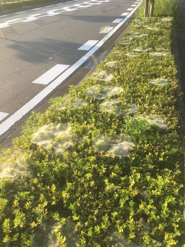 rblog-20161015091910-01.jpg