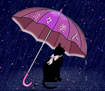 雨傘猫