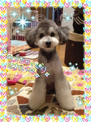 20121024.JPG