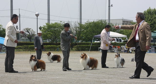 IMG_1875 - コピー.JPG