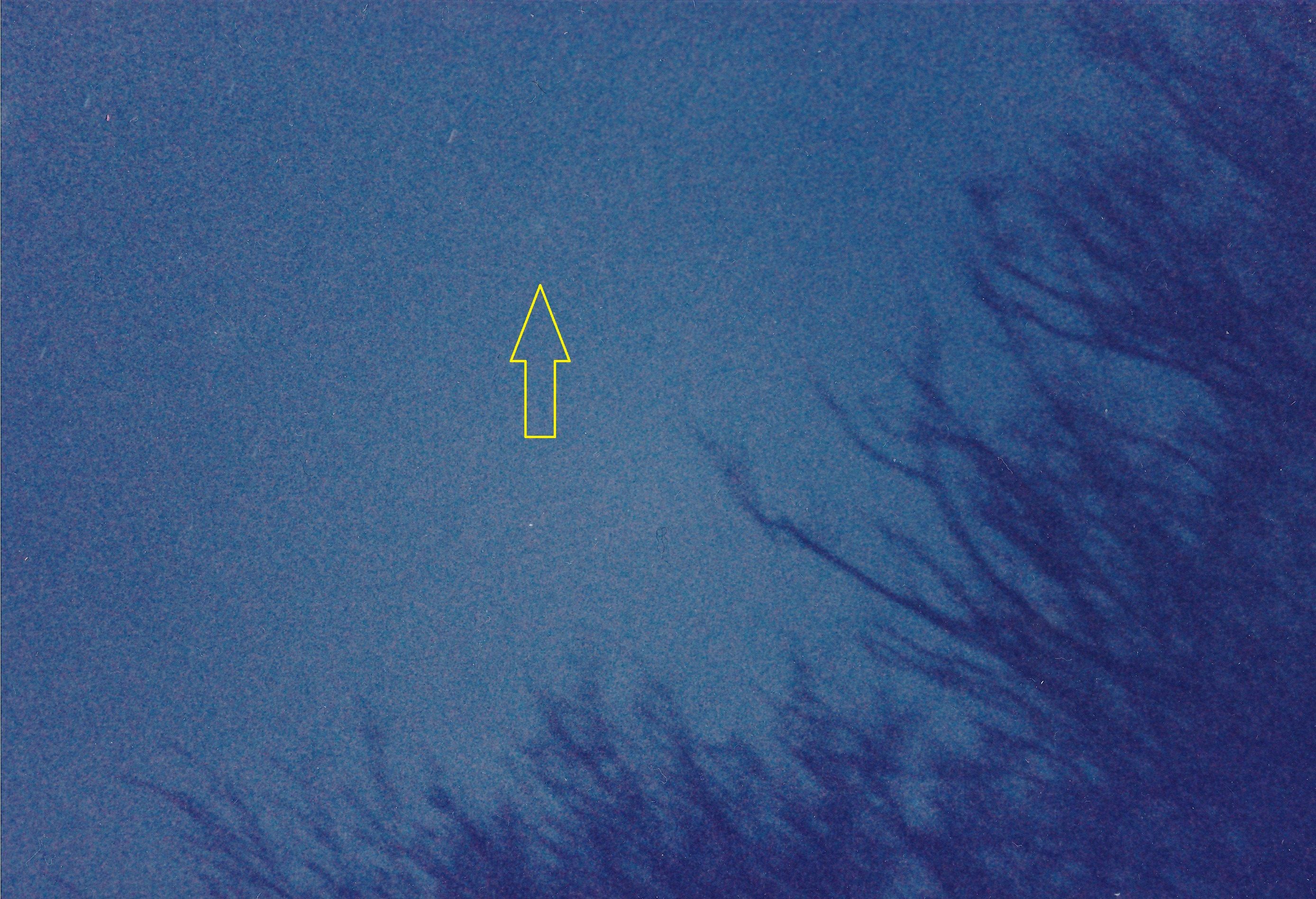 私が撮ったハレー彗星 | 星とカワセミ好きのブログ - 楽天ブログ