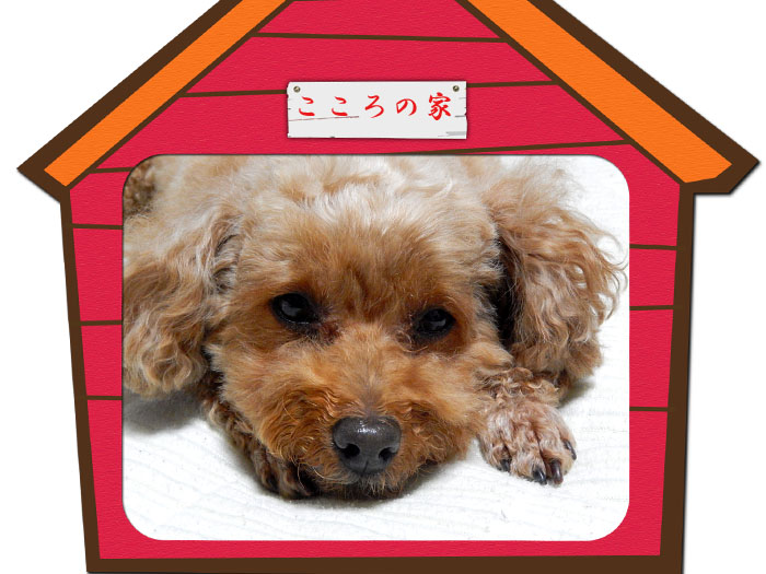 こころ４