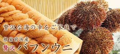 ウニ