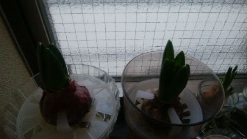 rblog-20180118043103-06.jpg