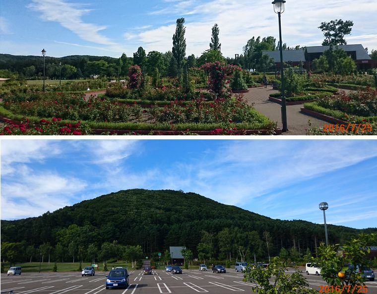 ７／２５バラ公園.jpg
