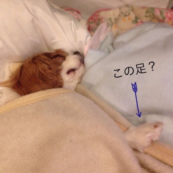 rblog-20151201191021-02.jpg