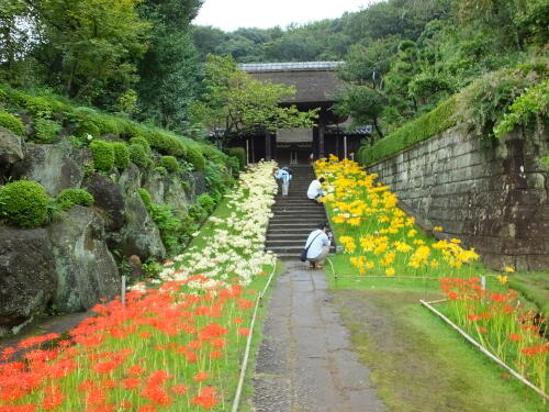 西方寺にて