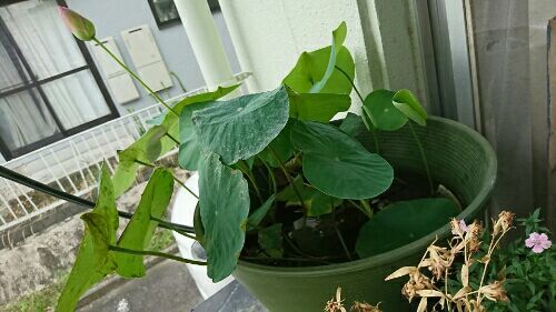 rblog-20170724105542-02.jpg