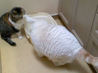 170316_2154~02.jpg