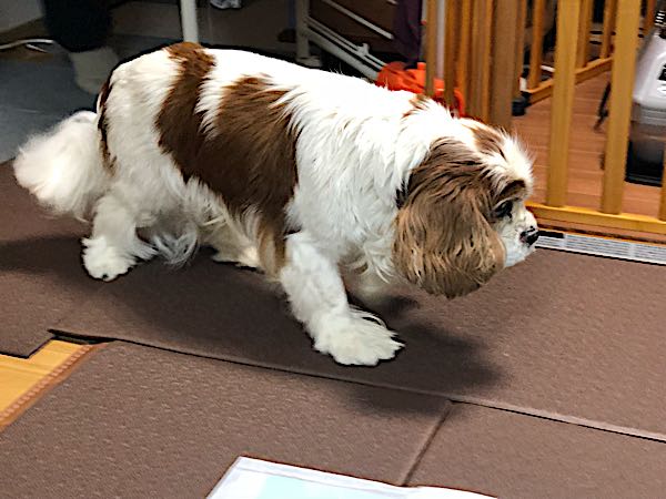 rblog-20180119205144-02.jpg