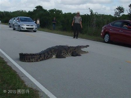 Everglades National Park 20151229-8