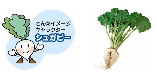 てん菜.jpg