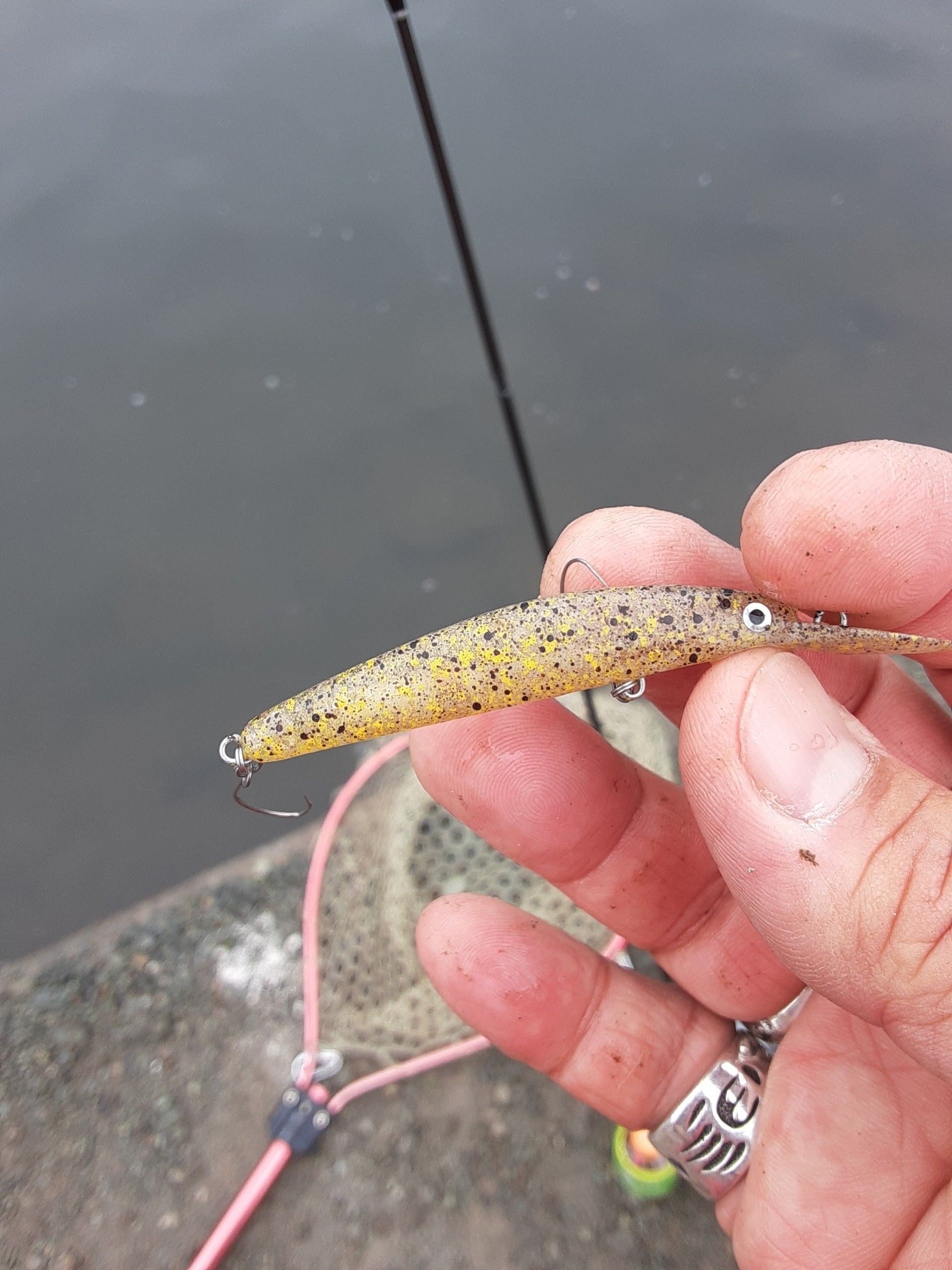 宮城アングラーズヴィレッジ釣行 ヴァンキッシュチャレンジにチャレンジする タカの管釣り釣行記 楽天ブログ