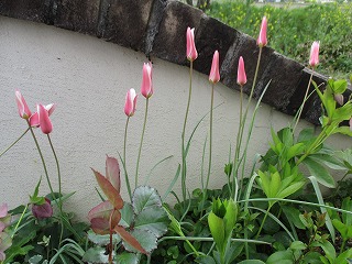 IMG_8851ss.jpg