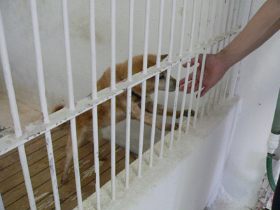 20140708o.jpg