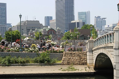 中之島公園のバラ園