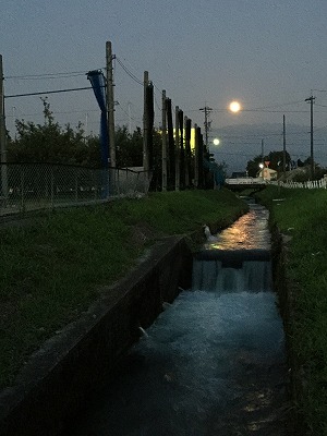 s-IMG_7013.jpg