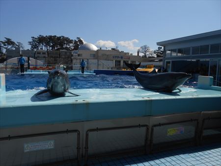 越前松島水族館