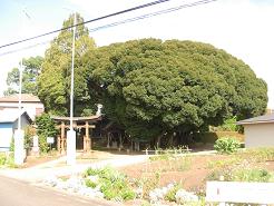 多気比売神社