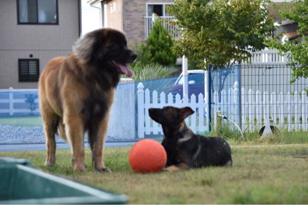 rblog-20180817084420-05.jpg