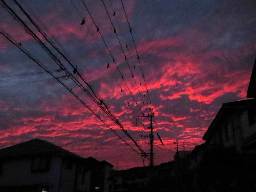 581