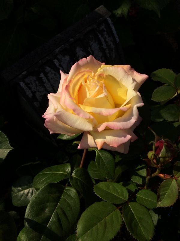 rblog-20140509111430-02.jpg