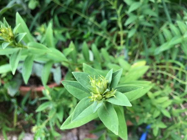 rblog-20180628172147-01.jpg