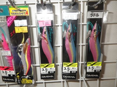 IMGP5276.JPG