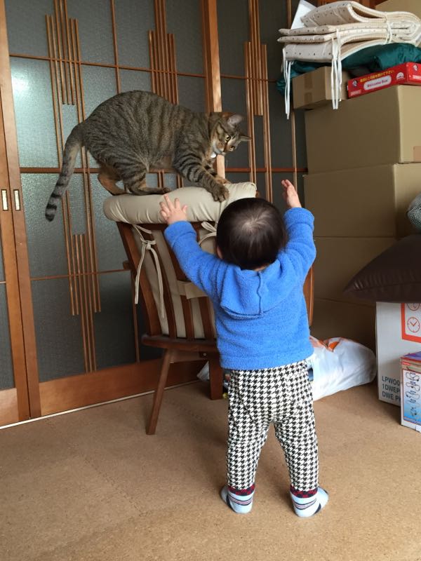 rblog-20150304205710-00.jpg