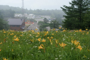 DSC08964.JPG
