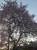 DSC 0555.JPG