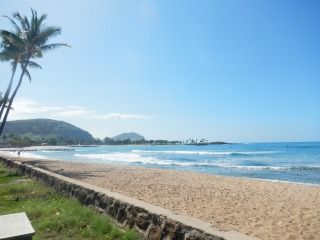 DSCN2606.jpg