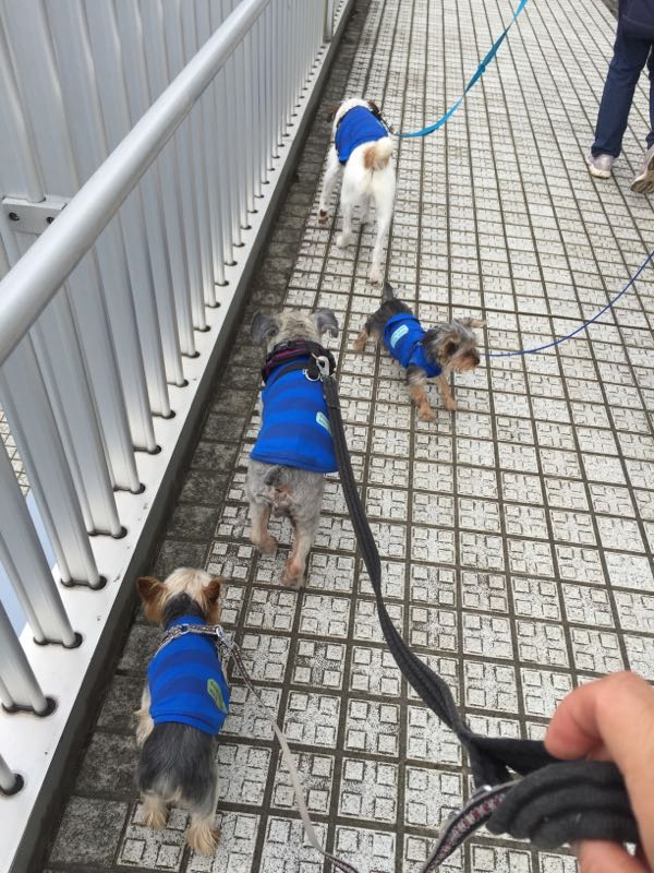 rblog-20160726005756-01.jpg