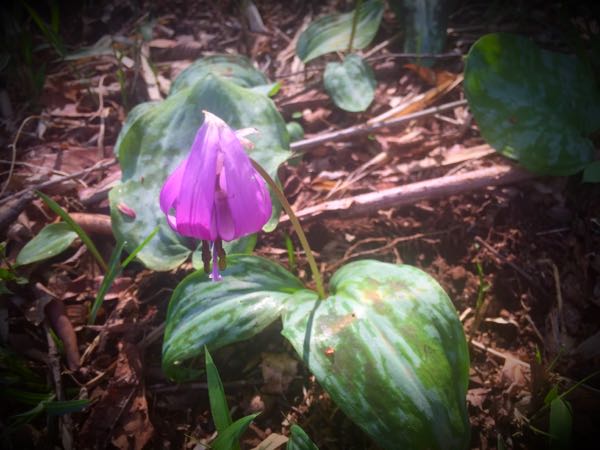 rblog-20160406131936-09.jpg