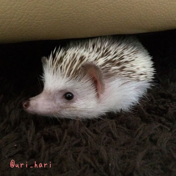 rblog-20150920100103-01.jpg