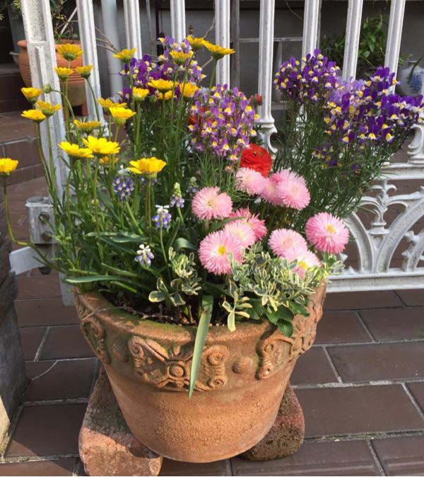rblog-20180408220630-05.jpg