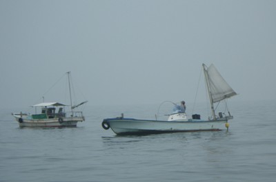 IMGP4871.JPG