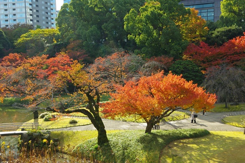 小石川後楽園