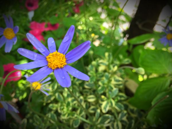 rblog-20160430165450-03.jpg