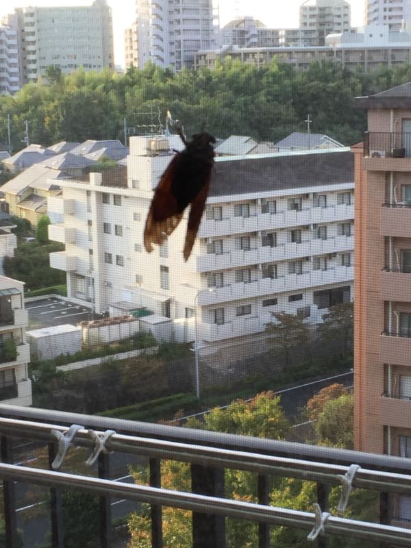 rblog-20161006154742-01.jpg
