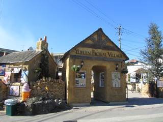 0110_8386.jpg