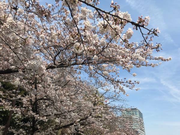 rblog-20170405192805-03.jpg