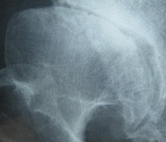 133_7251 縮小2 - コピー.jpg