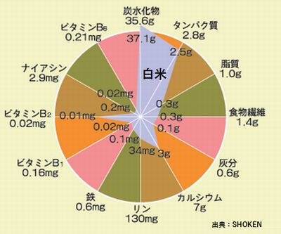 玄米と白米の栄養比較.jpg