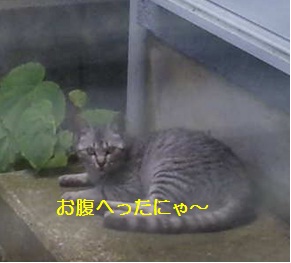20120714_2.jpg